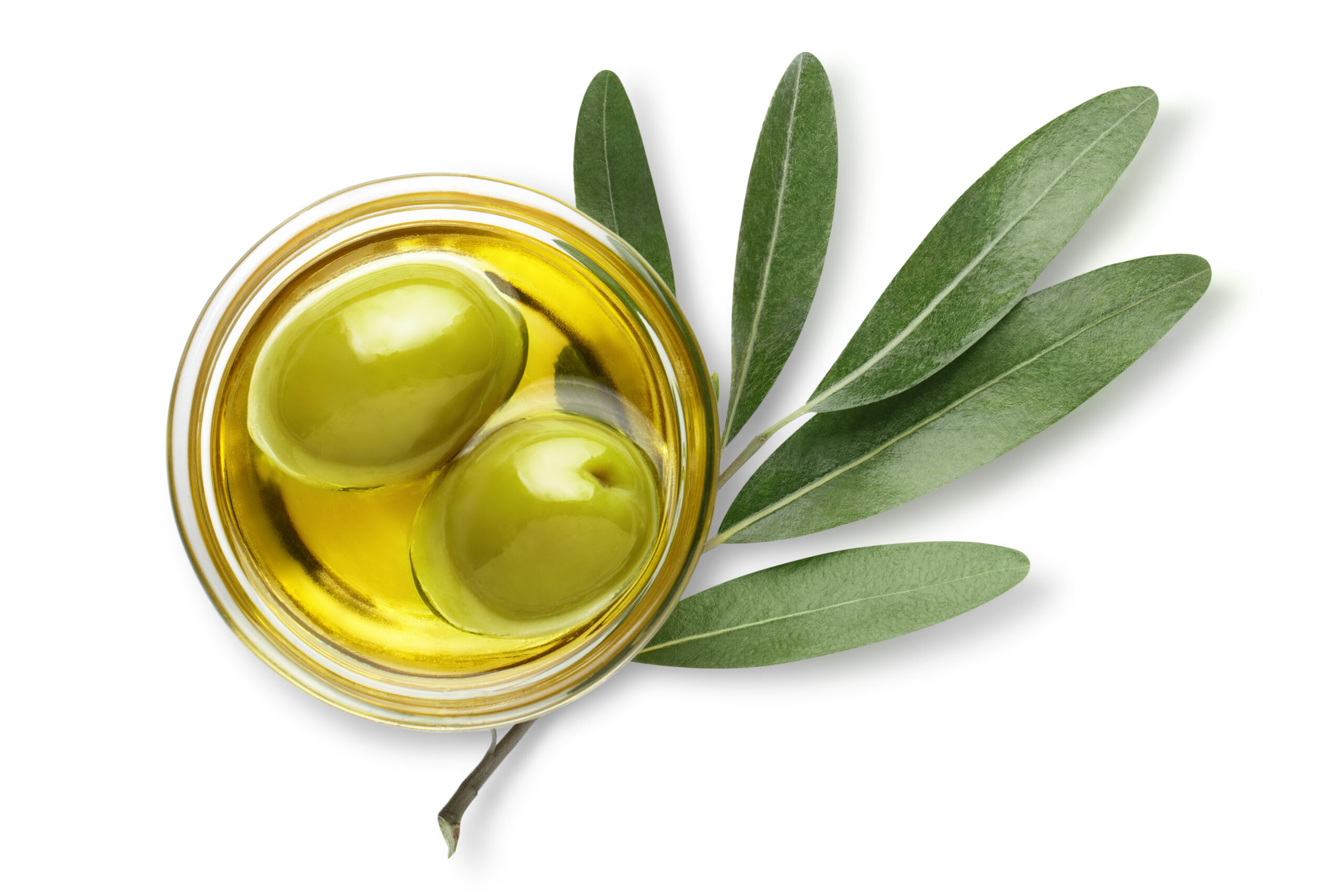 Delicious big green olives in an olive oil with leaves, isolated