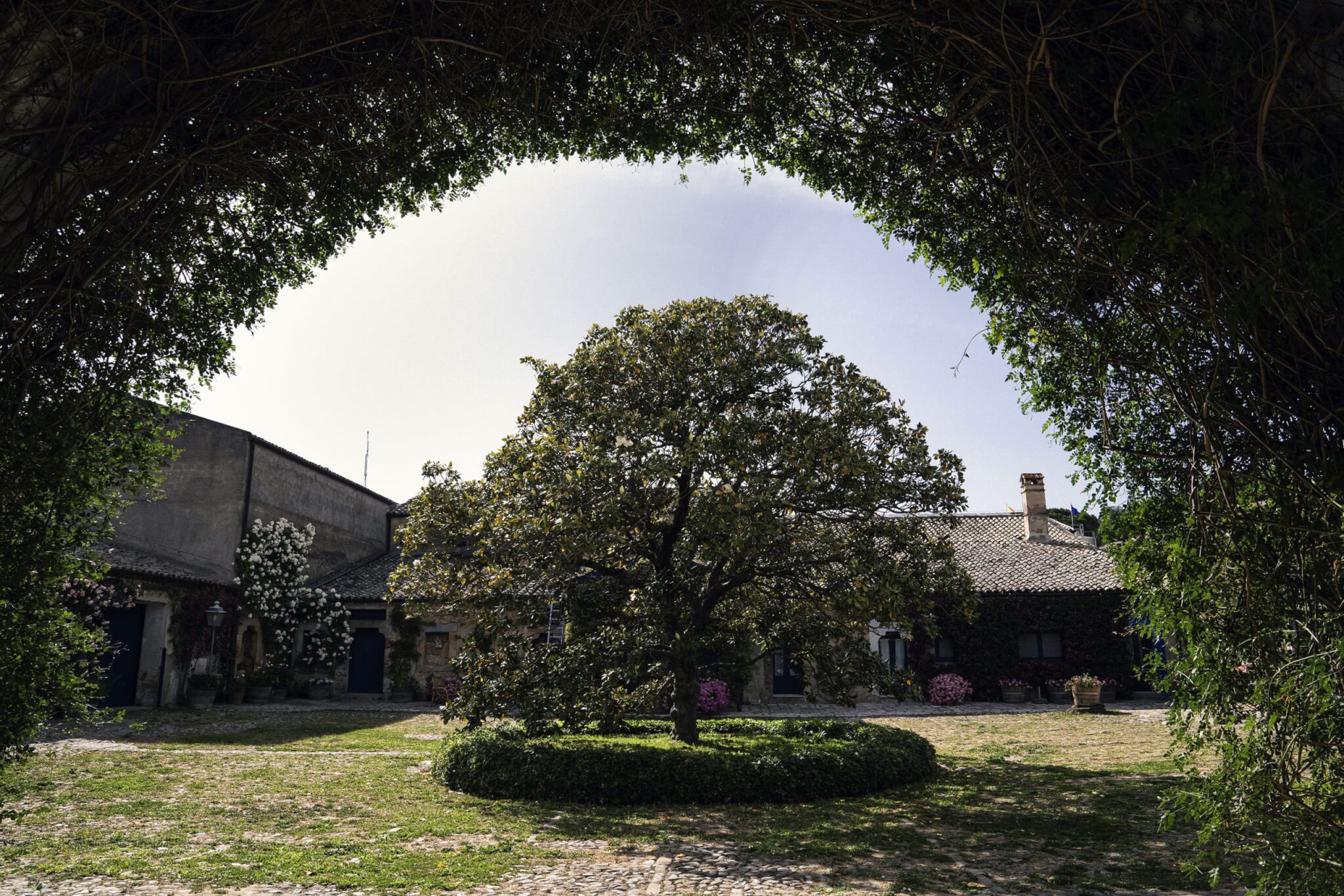 Francesco_Bellina_BEF2021TASCA00031177G_high-scaled-1