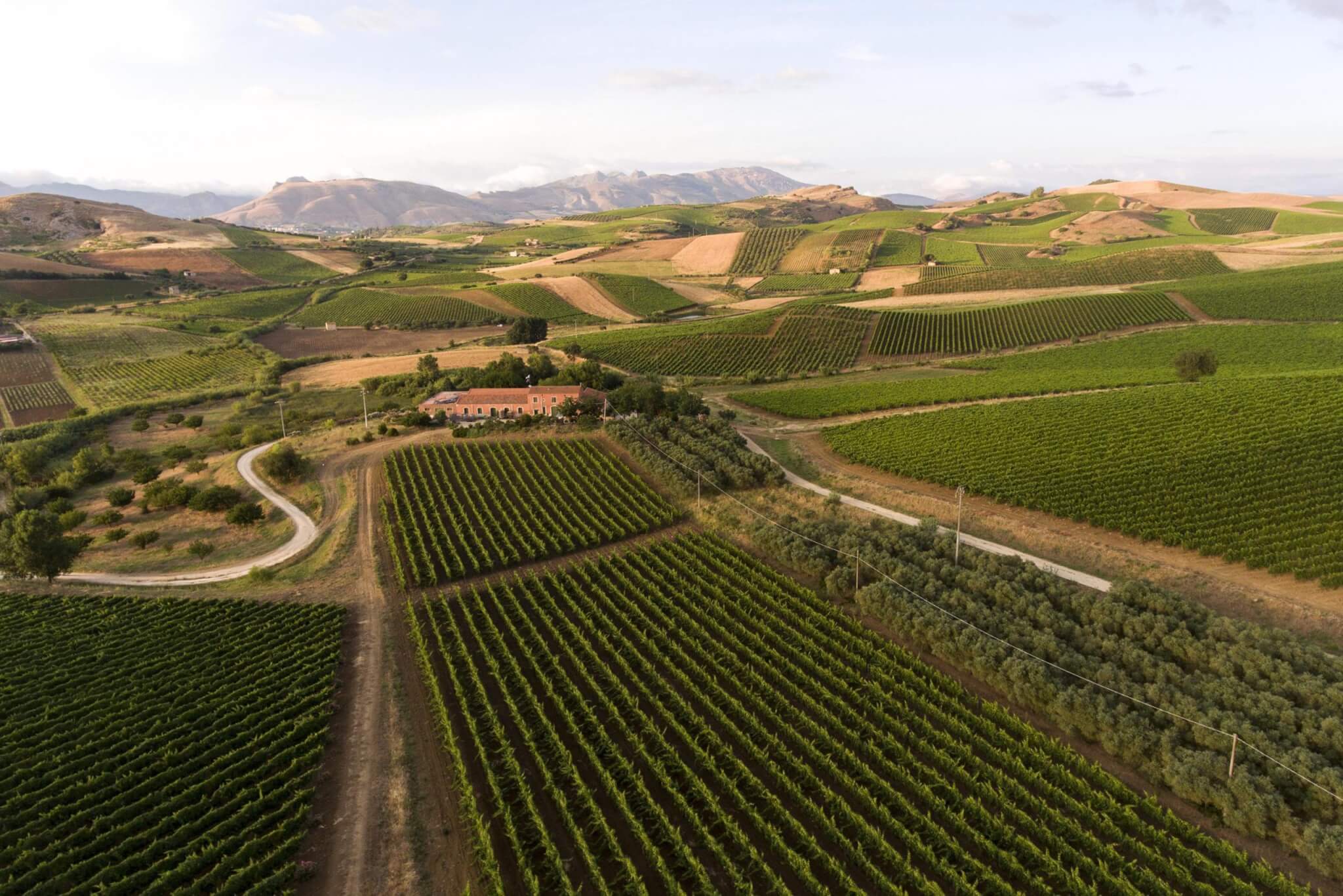 Sallier_de_la_tour_estate_WECROSSTHELINE_2-scaled-1