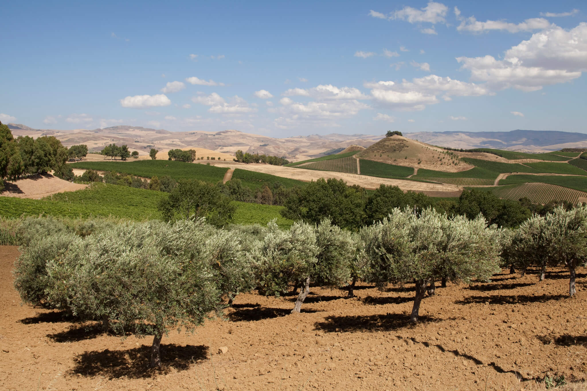 Tenuta_1