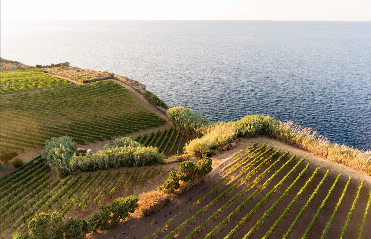 capo-faro_5
